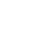 Team Arrives for Junk Removal