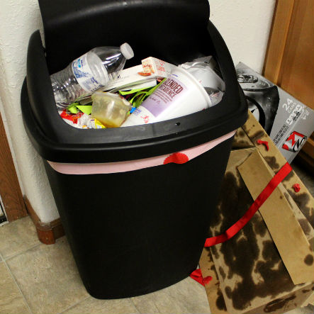 Foreclosure and Eviction Trash-Outs